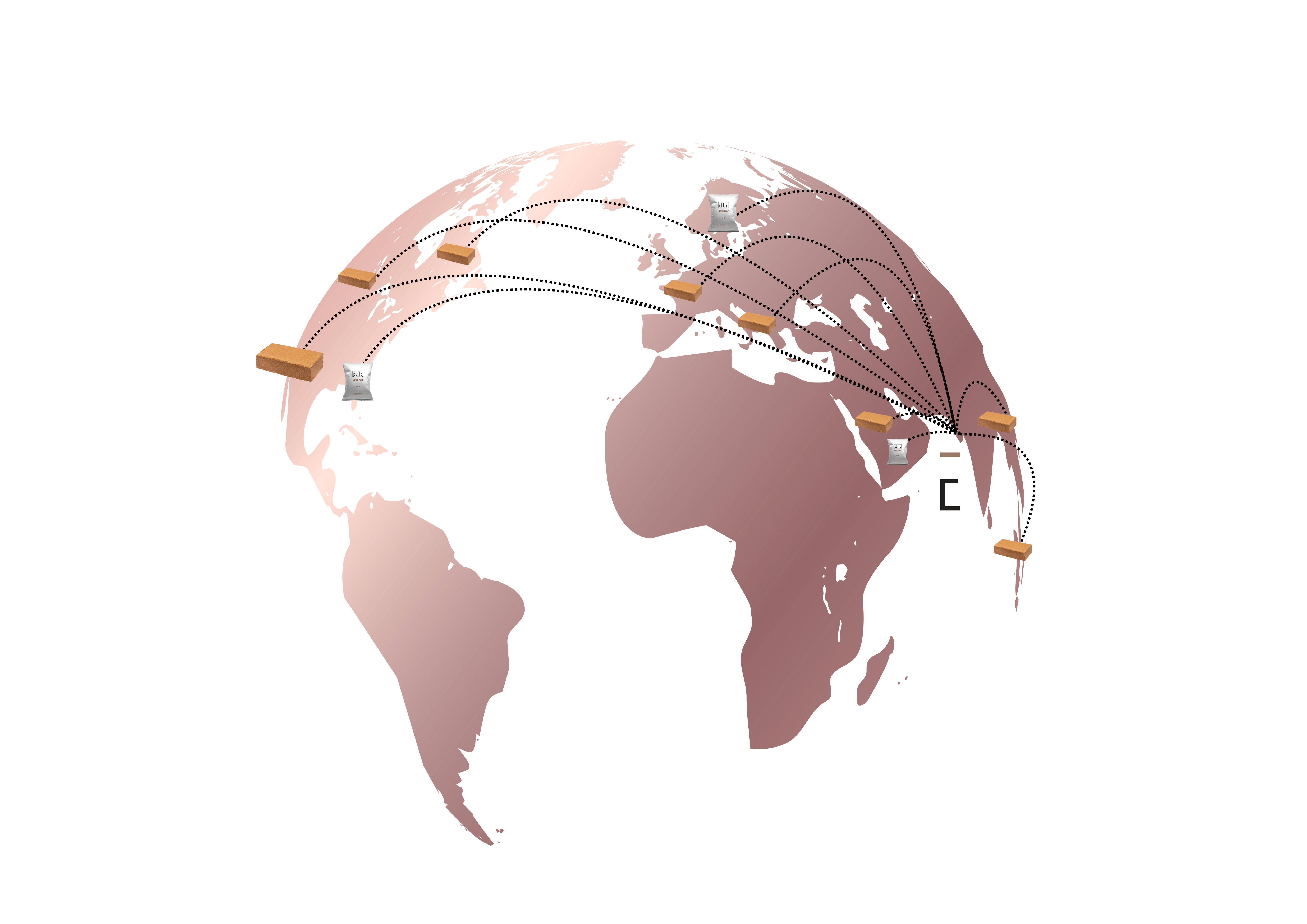 A stylized world map with blue polygons and connecting lines representing global export routes